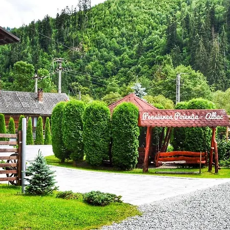 Pensiunea Poienita Apusenilor Guest house